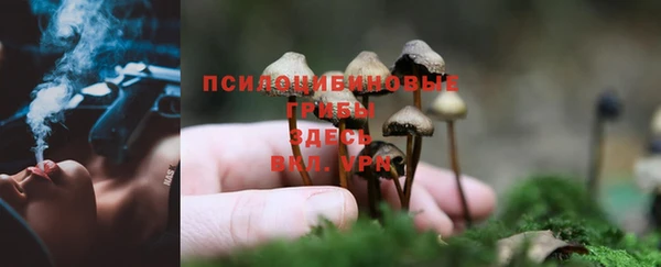 первитин Армянск
